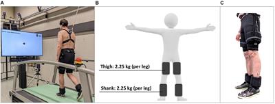 Cognitive-motor interference during walking with modified leg mechanics: a dual-task walking study